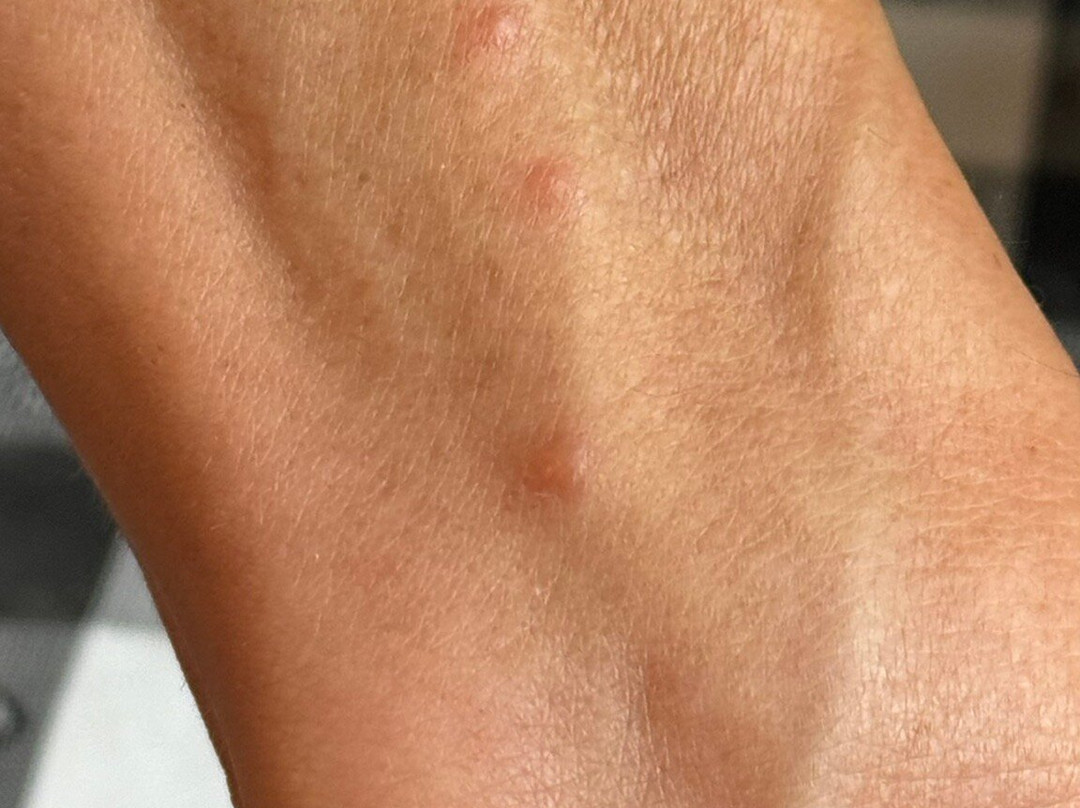 Best Western Plus Plattsburgh主图