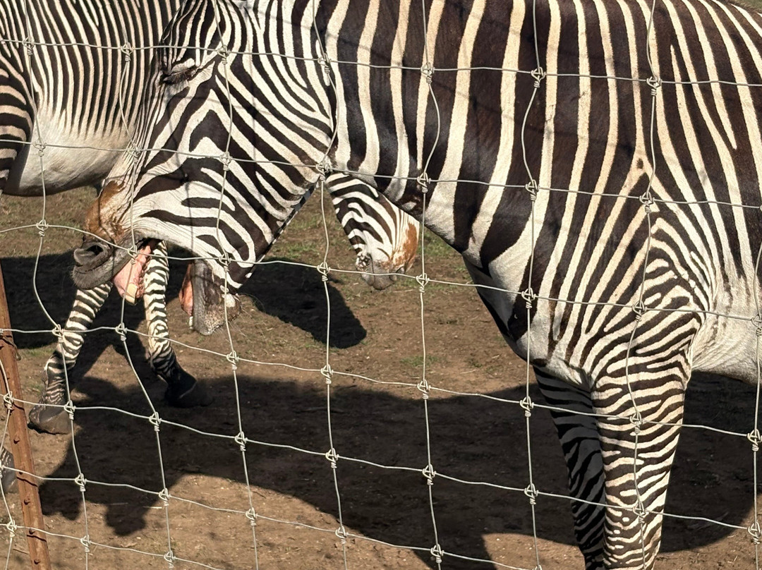B Bryan Preserve-Point Arena必去景点