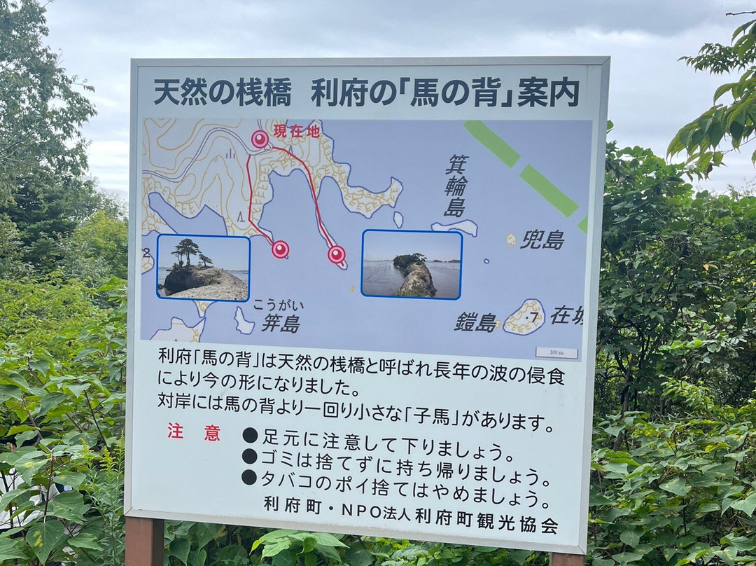 Umanose-利府町必去景点