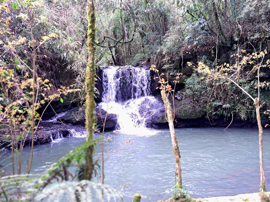 Bicho do Mato Ecoturismo-Videira必去景点