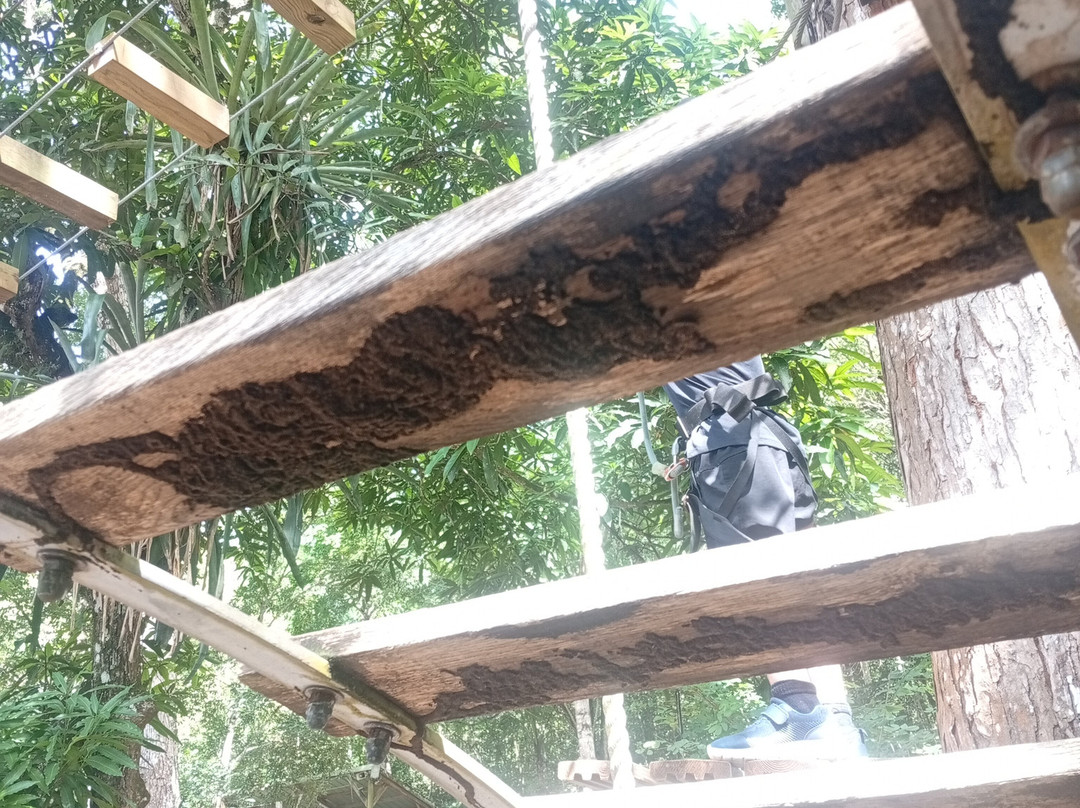 Mangofil Martinique-Trois-Ilets必去景点