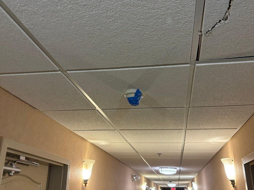 黎巴嫩汉普顿酒店主图