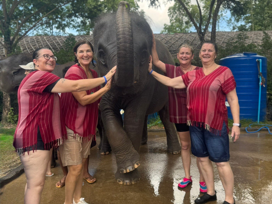 Kerchor Elephant Family Phuket-卡图必去景点