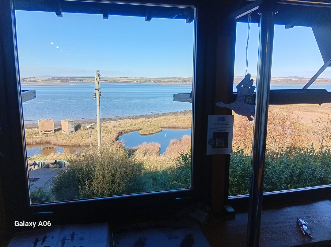 Montrose Basin Visitor Centre, Scottish Wildlife Trust-Montrose必去景点