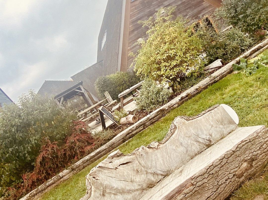 Thames Chase Forest Centre-Upminster必去景点