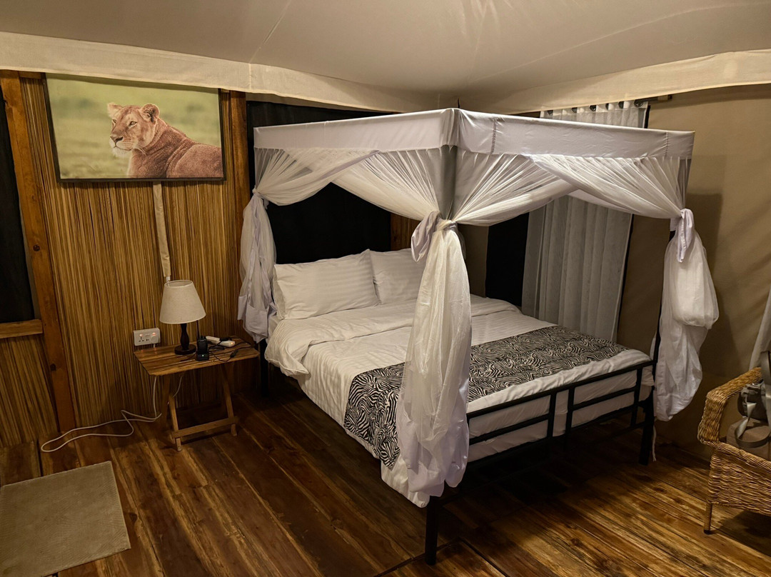 Sero Tented Camp-Seronera必去景点