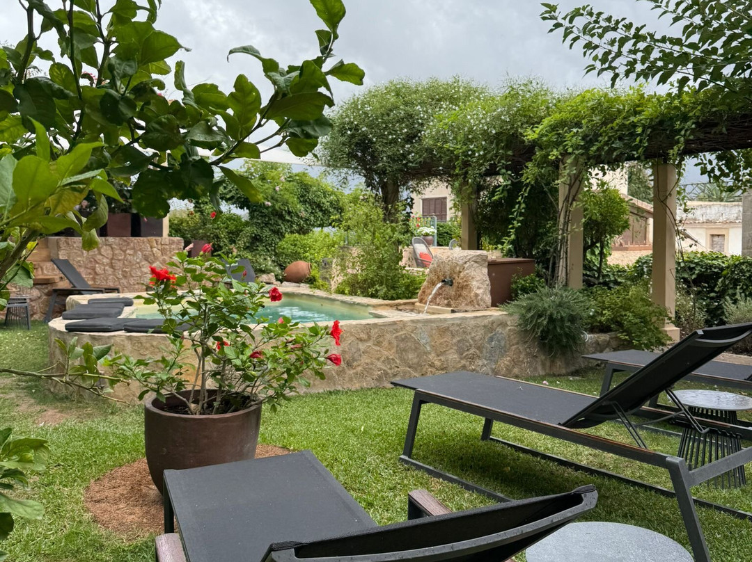 Jardi d'Arta Boutique-Hotel主图