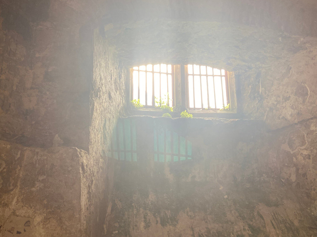 Lulworth Castle & Park-East Lulworth必去景点