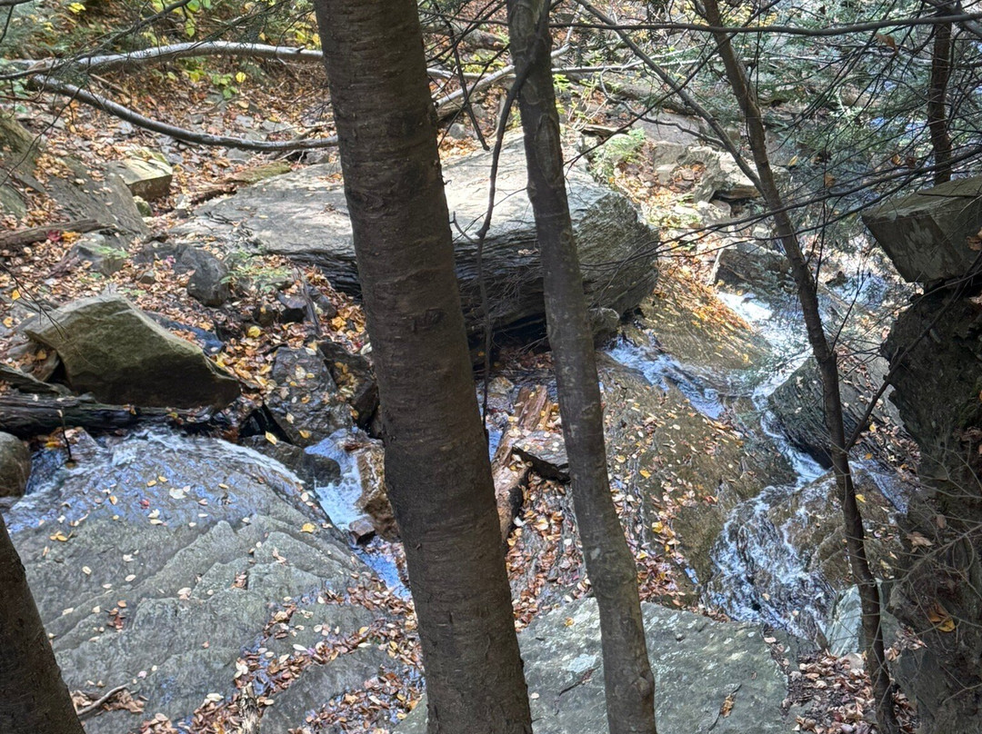 Lye Brook Falls-曼彻斯特必去景点