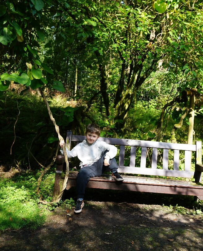 Benmore Botanic Garden-Benmore必去景点