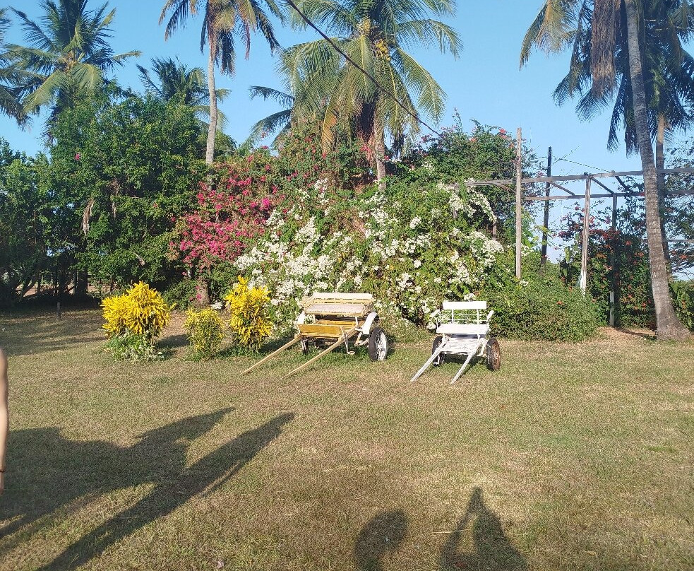 Marajó Eco'Tur Receptivo e Passeios Turísticos-Soure必去景点