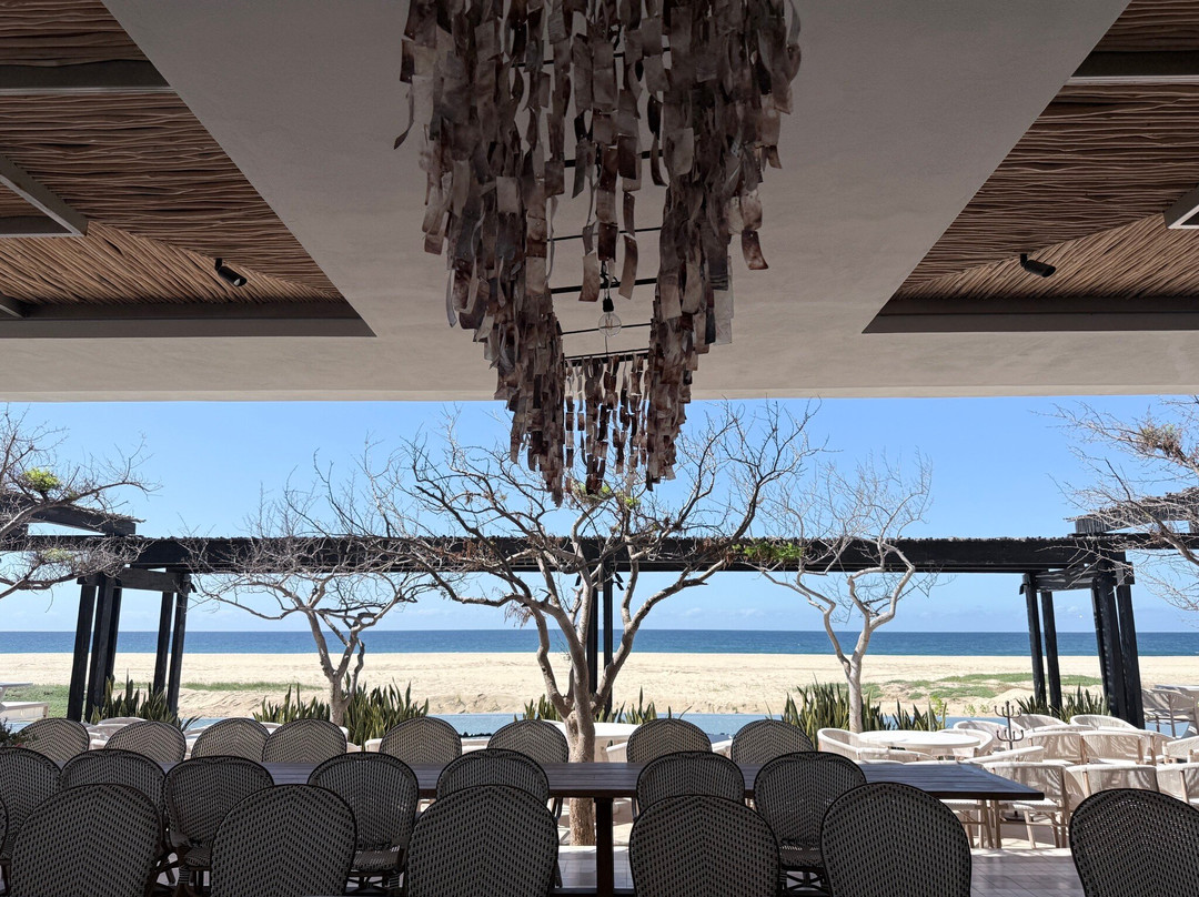 Botánica Spa At Kimpton Mas Olas-佩斯卡德罗必去景点