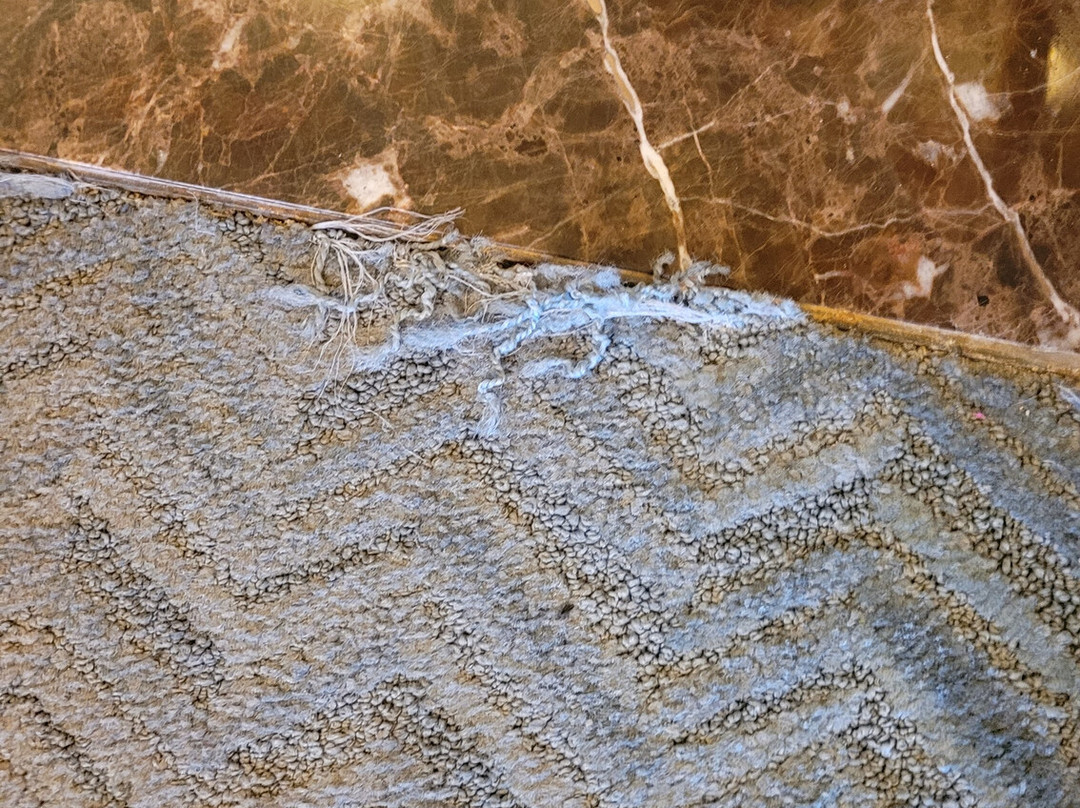 DoubleTree by Hilton Hotel Chicago - Arlington Heights主图