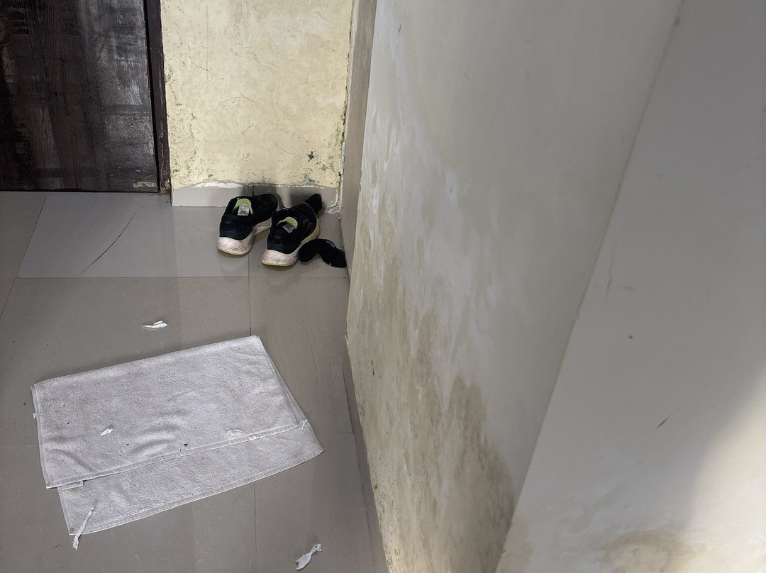 MTDC Malshej Ghat主图