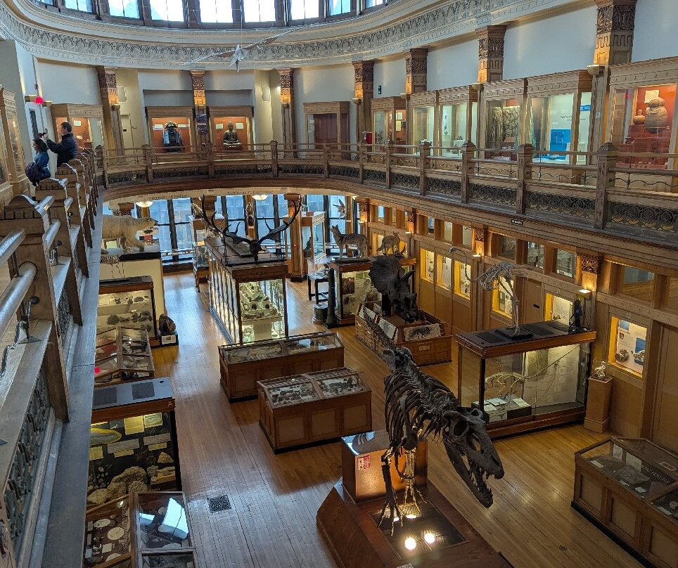 Musée Redpath-蒙特利尔必去景点