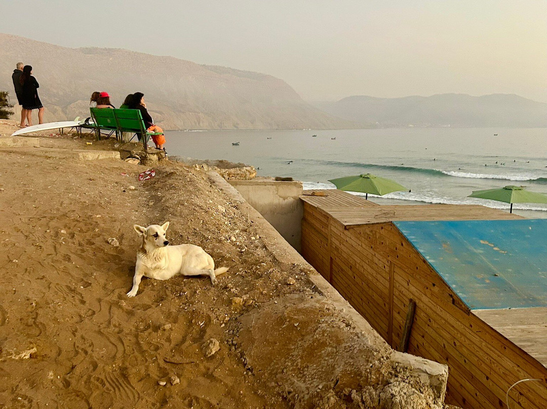 Plage d'Imsouane-Imsouane必去景点
