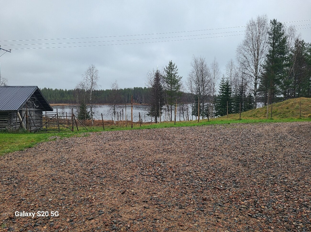 Tuula's Reindeer-伊纳里必去景点