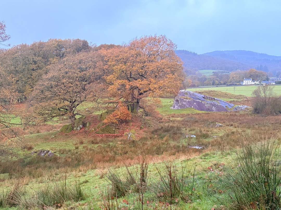 Robert Fletcher Wildlife Artist Studio & Aviaries-Satterthwaite必去景点