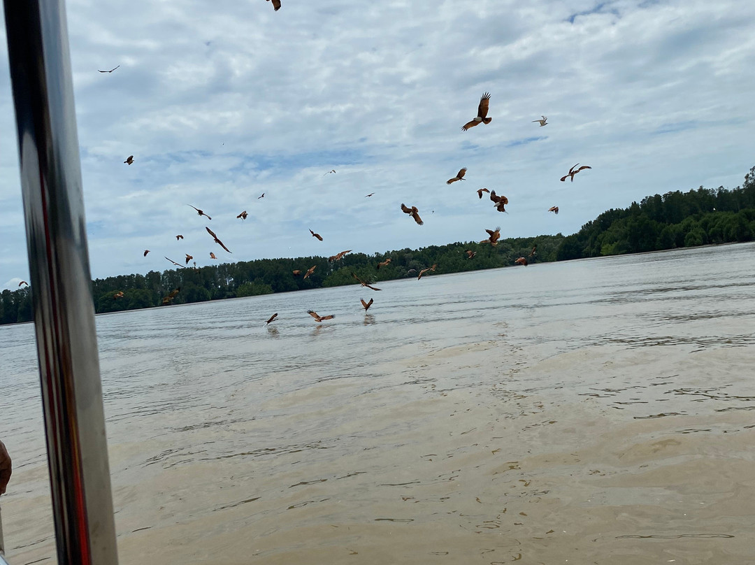 Matang Mangrove Forest Reserve-Kuala Sepetang必去景点