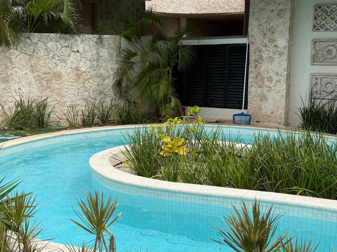 Zentropia Palladium Spa & Wellness-艾库玛尔必去景点