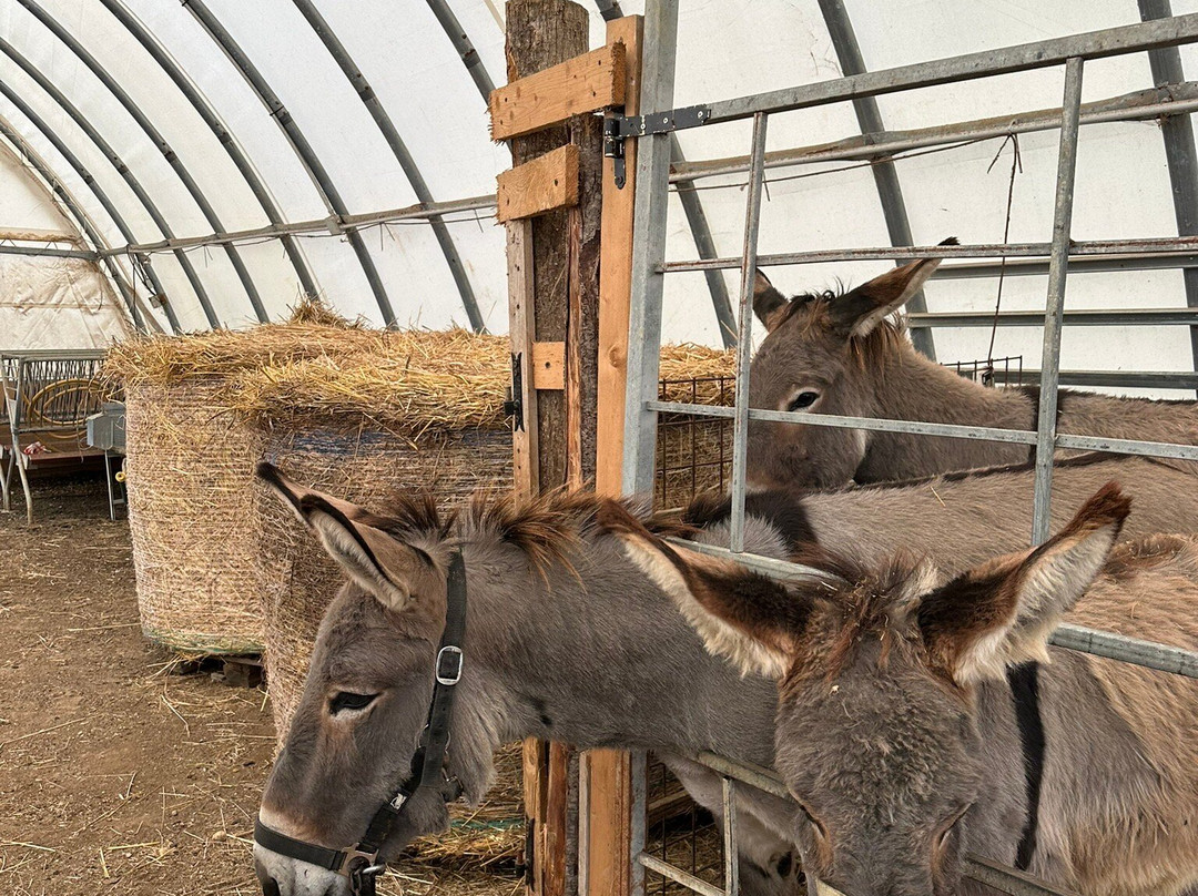 Fattoria Del Borgo In Sabina-Pozzaglia Sabina必去景点