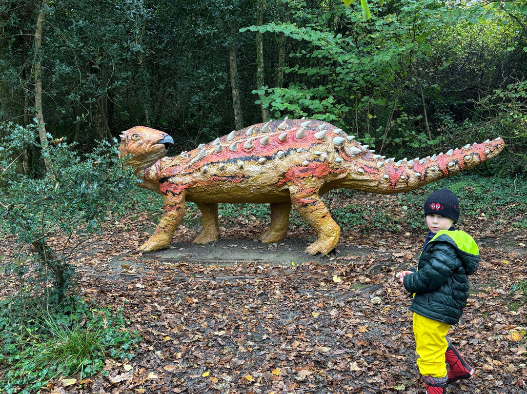 The Dinosaur Park-腾比必去景点