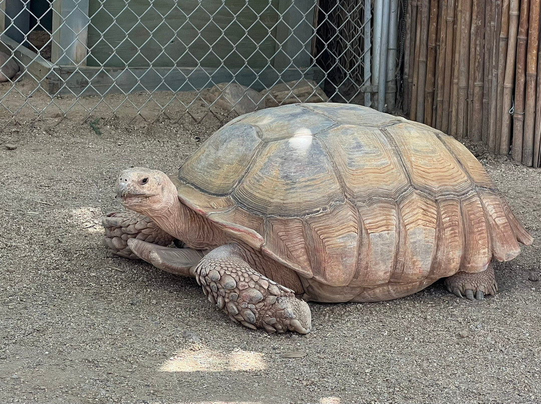 Southwest Wildlife Conservation Center-斯科茨代尔必去景点