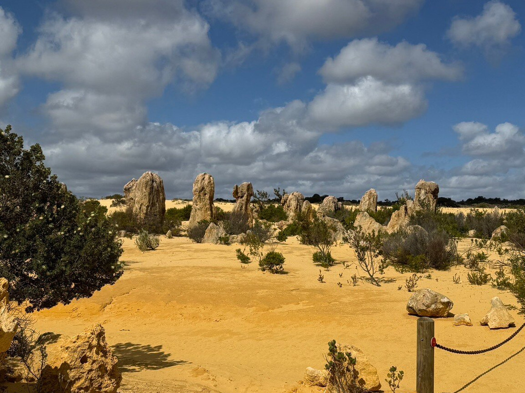 The Pinnacles Desert-Nambung必去景点