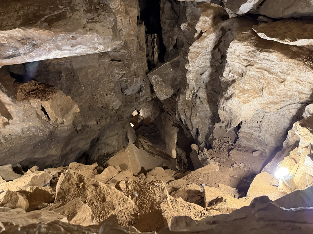 Rickwood Caverns State Park-Warrior必去景点