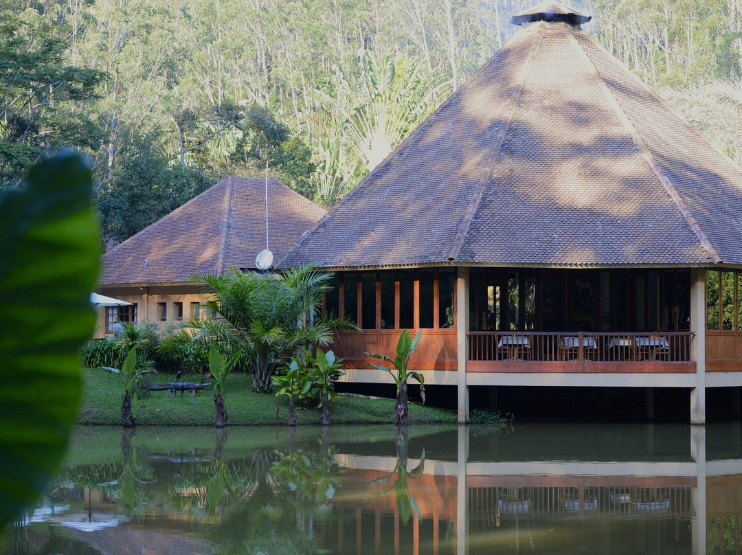 Vakona Forest Lodge主图