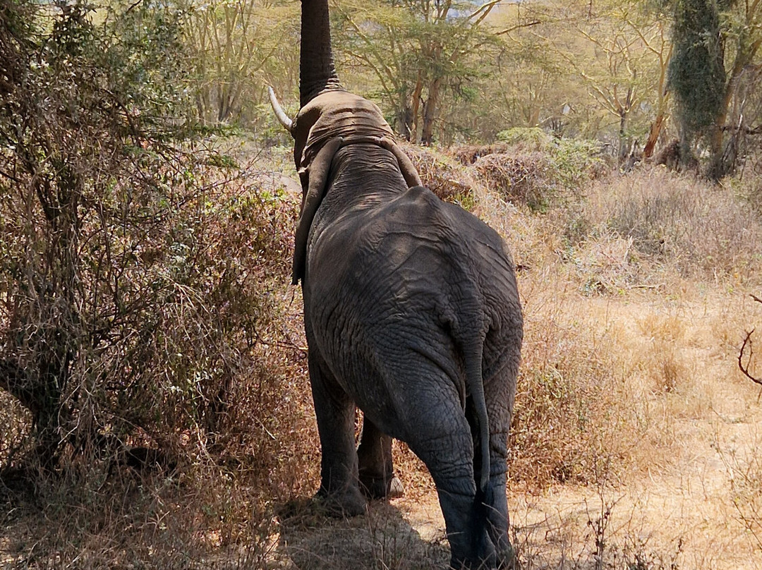 Hello Tanzania-Dar es Salaam必去景点