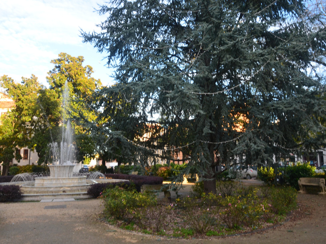 Fontana di Piazza Umberto Merlin-罗维戈必去景点