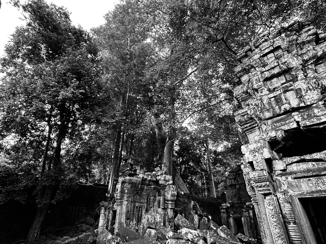 Gold Tuk-Tuk Driver-暹粒必去景点