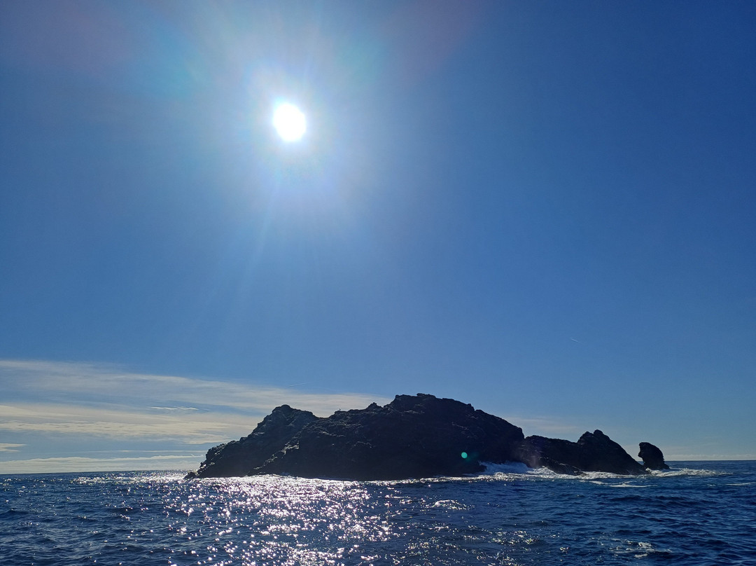 O2 Plongée-Carqueiranne必去景点