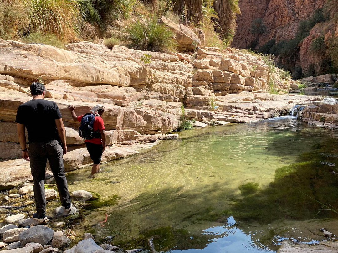 Jordan Hiking Guide-Dana必去景点