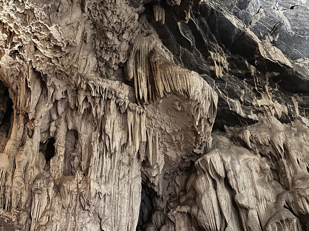 Phongnha Discovery-洞海必去景点