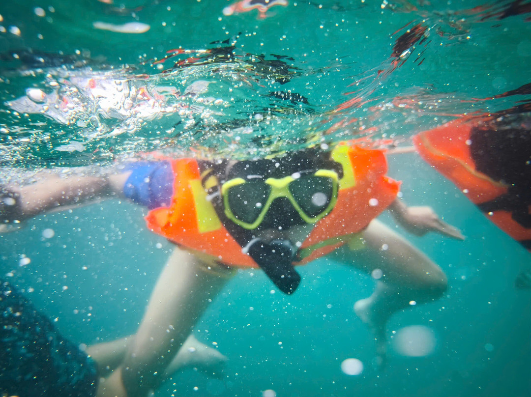 Searama Diving-扬东必去景点