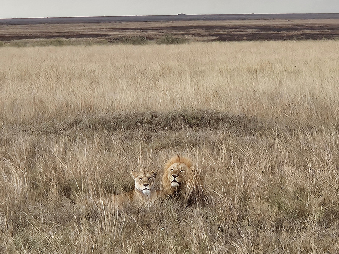 FB Tanzania Expeditions-阿鲁沙必去景点
