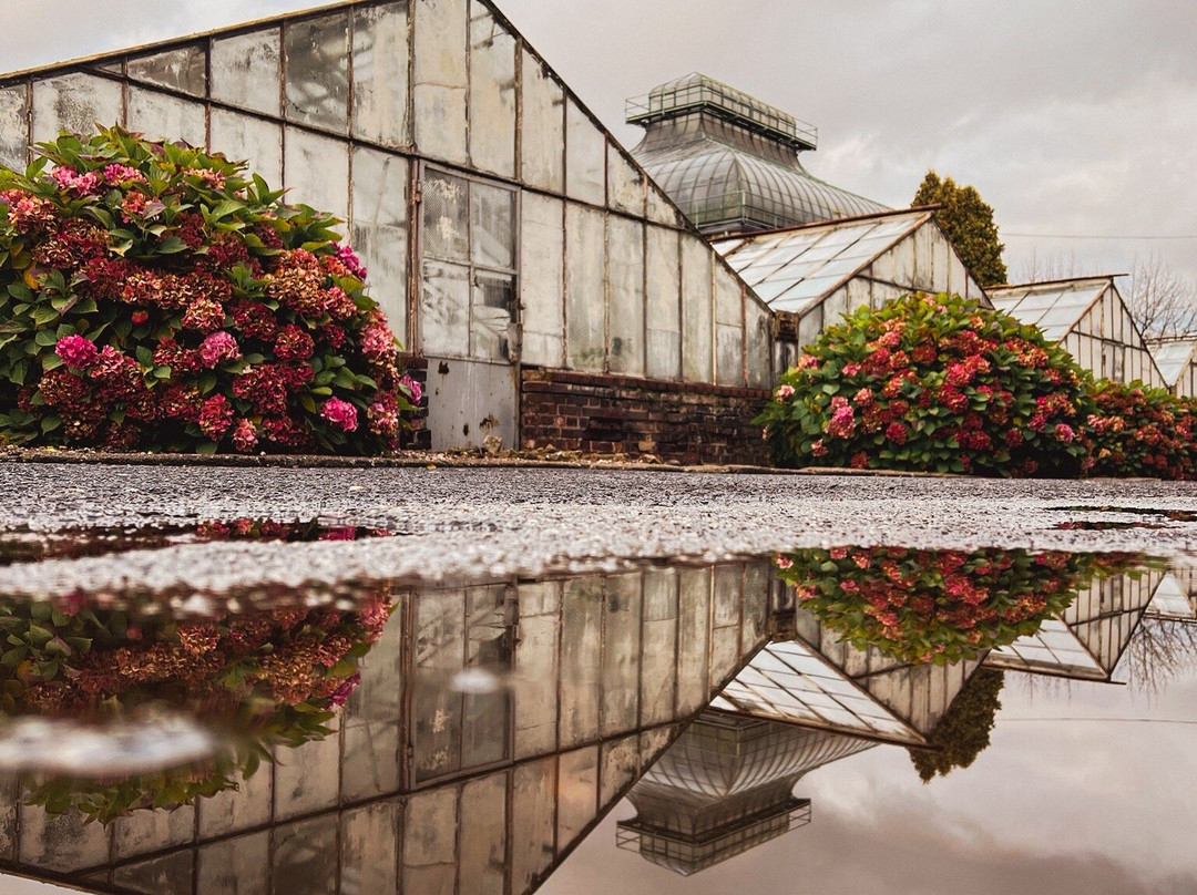 Palmiarnia Walbrzych-Walbrzych必去景点