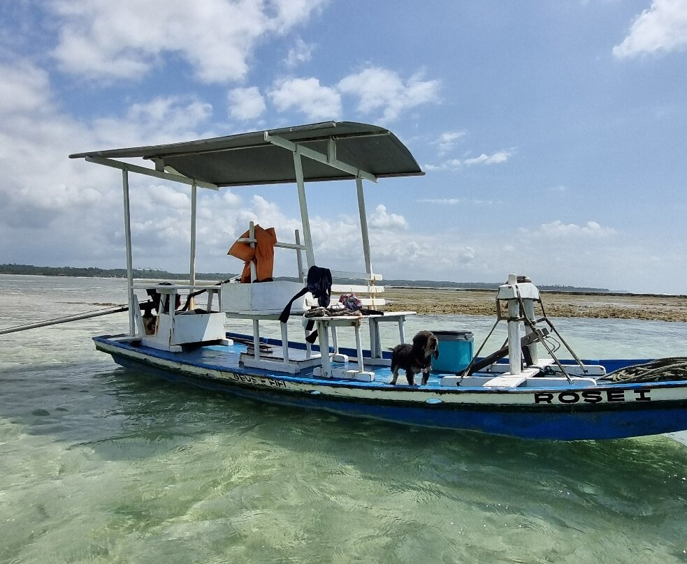 Piscinas Naturais da Praia do Patacho-Porto de Pedras必去景点