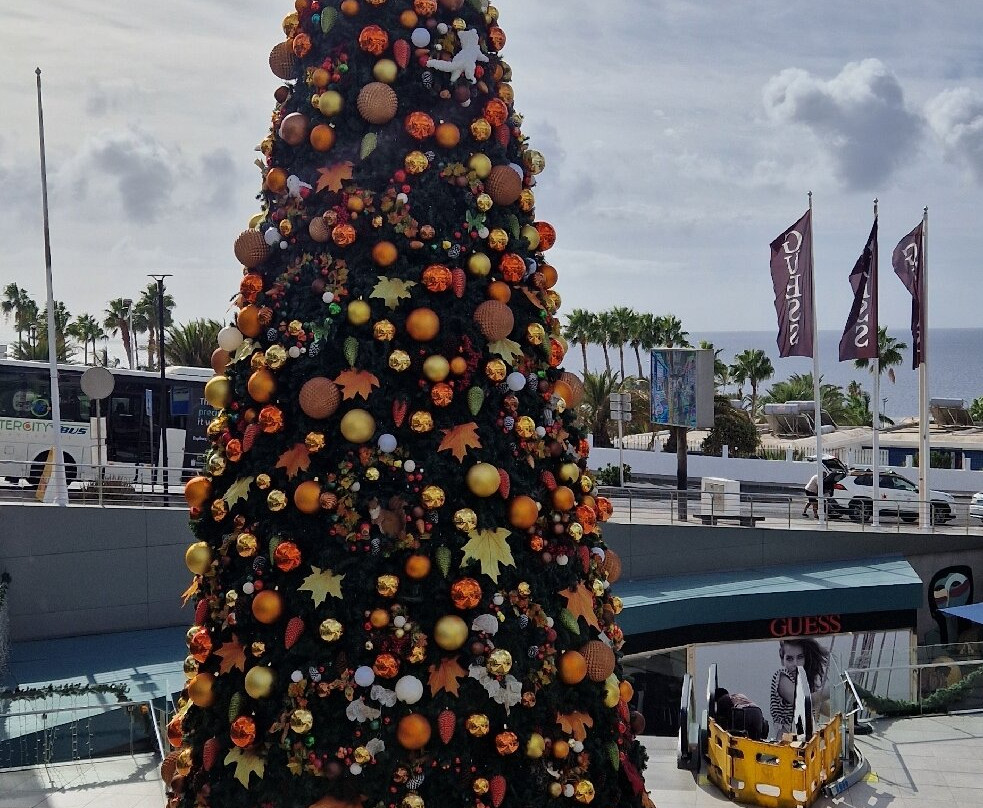 Biosfera Plaza Shopping and Leisure Centre-卡门港必去景点
