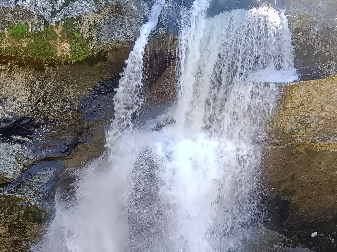 Makho Tours-第比利斯必去景点