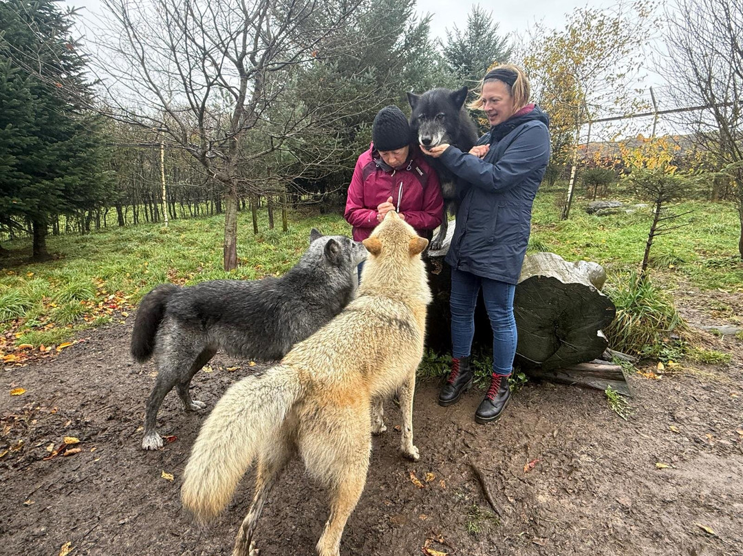 Predator Park-Ayside必去景点