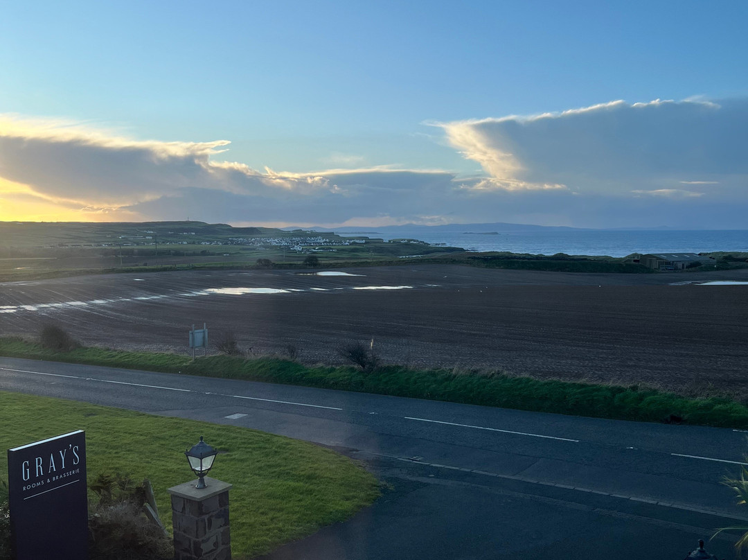 Grays Bushmills主图