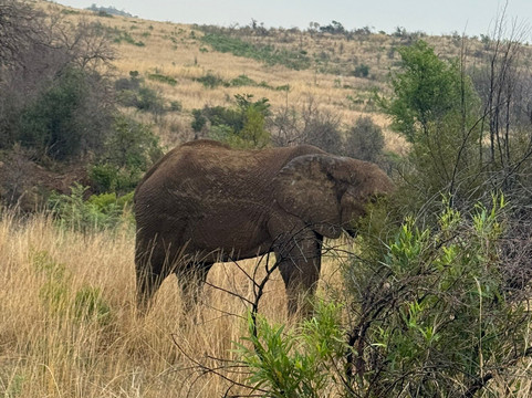 Exploriana Tours and Safaris-三图里恩必去景点