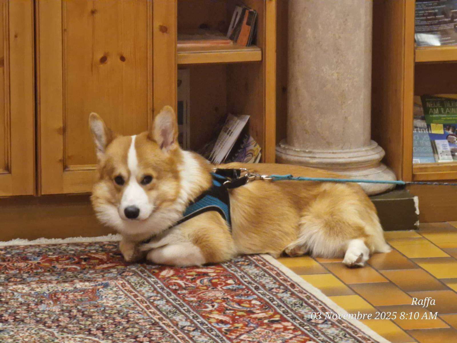 Sittnerhof Hotel-官方