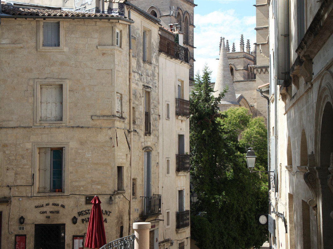 Place de la Canourgue-蒙彼利埃必去景点