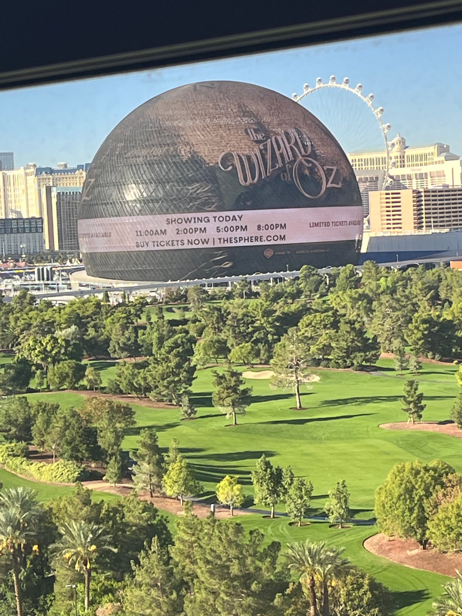 拉斯维加斯万丽酒店-酒店景观