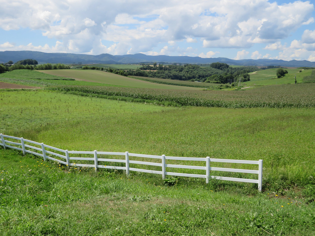 Shikaoi Observation Hill Park