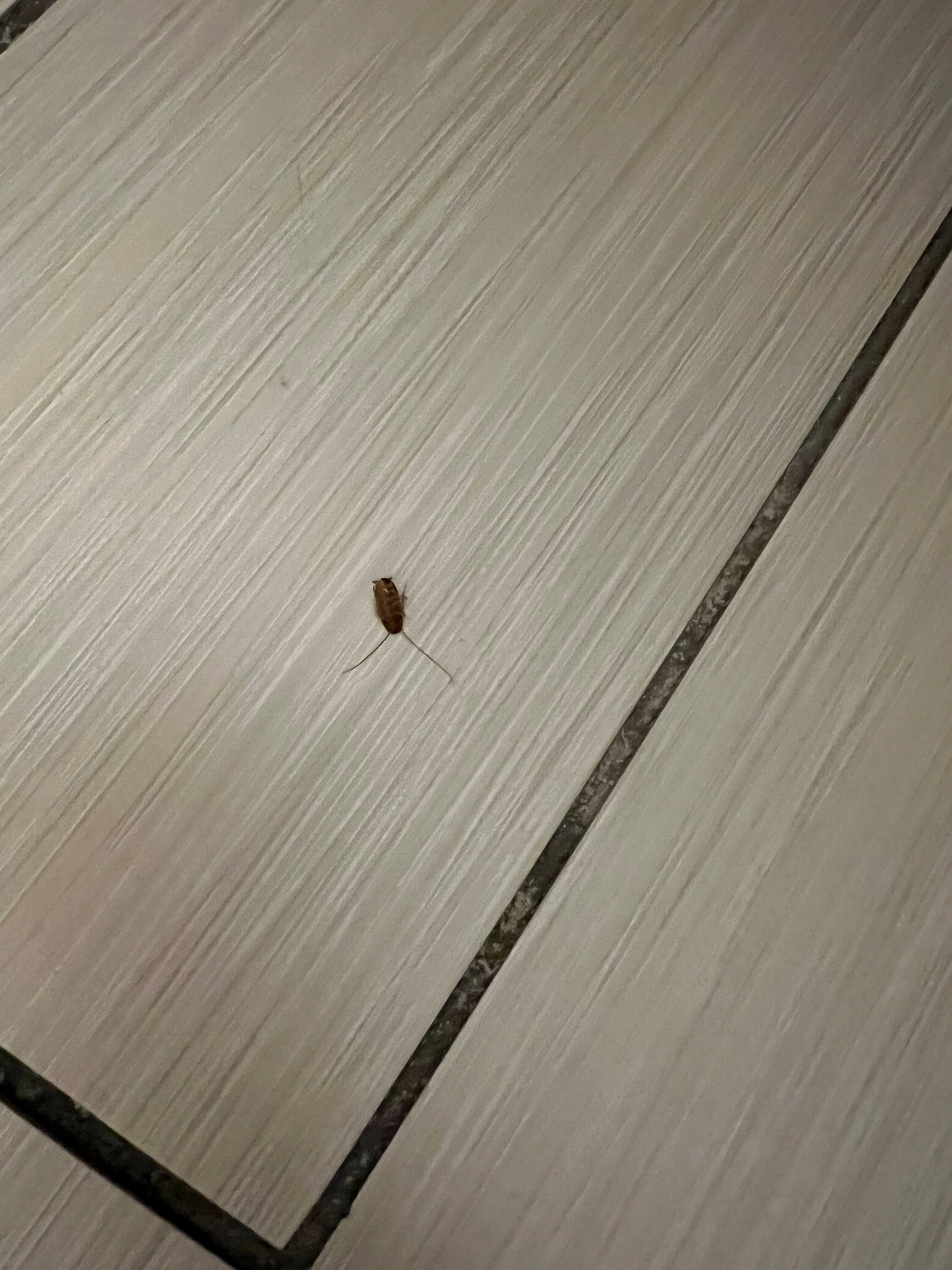 Courtyard by Marriott Monroe Airport-客卧